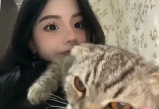 😻