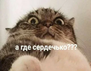 😧