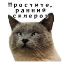 🤫