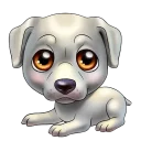 🐶