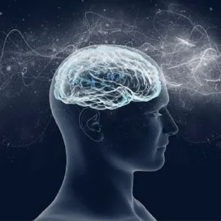 🧠
