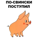 🐷