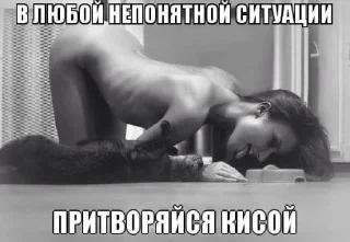 😸