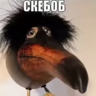 😱