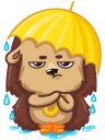 ☔