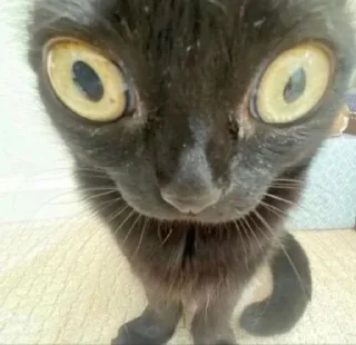 😱
