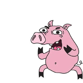 🐷