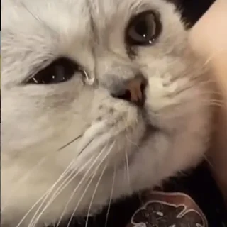 😢