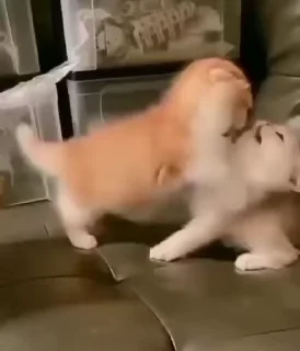 😘
