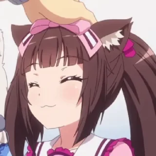 🐱