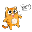 😨