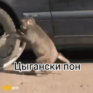 😆