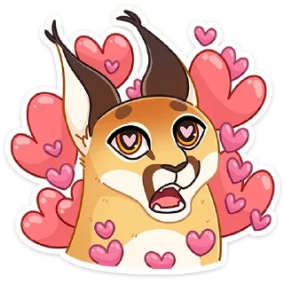 😍