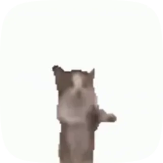 😺