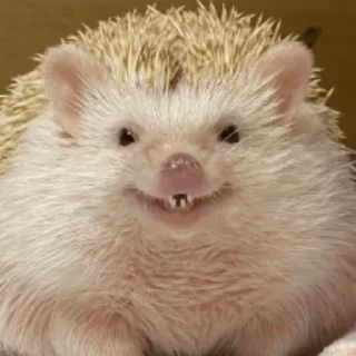 🙂