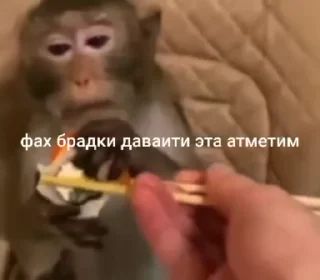😍