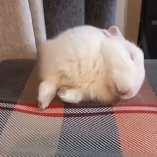 🥛