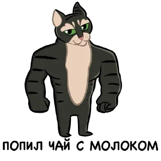 💪