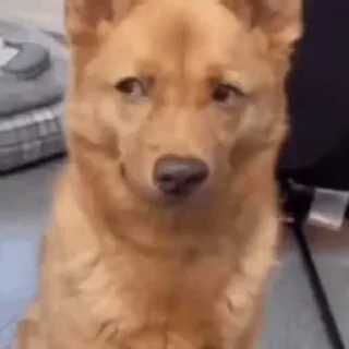 🫤
