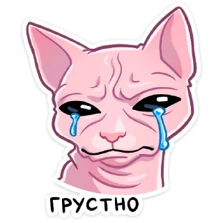 😭