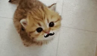 🥸