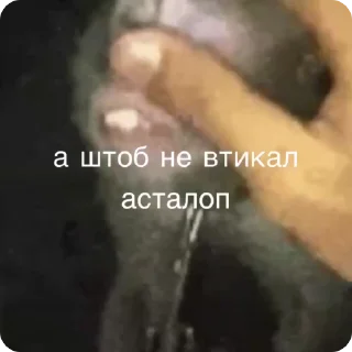 🙌