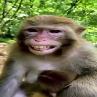 😂