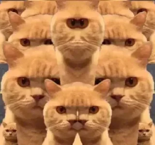 👀