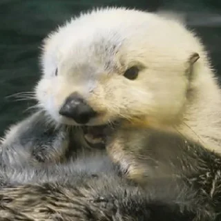 😄