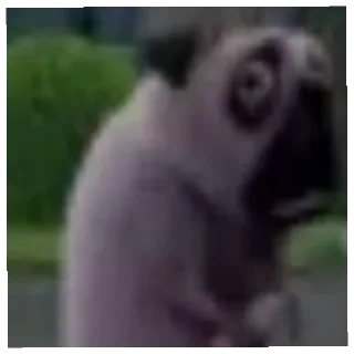 😶