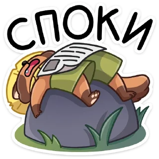 😴