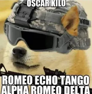 😎