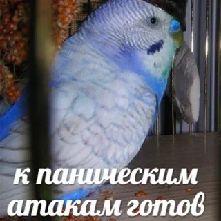 😣