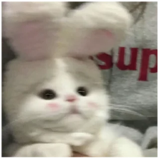 ☺️