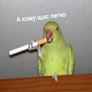 🚬