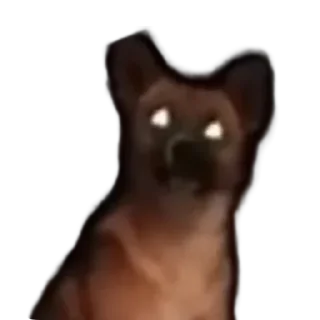😳