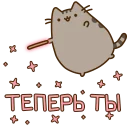 🐱