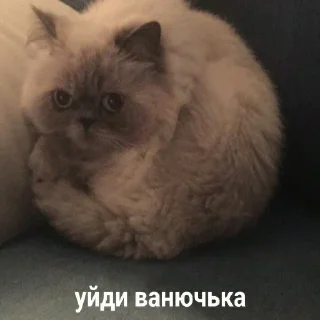 🤭