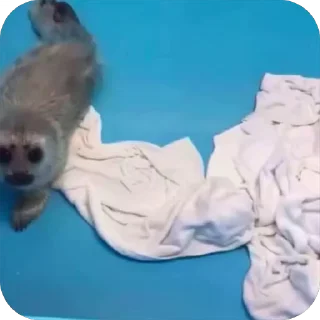😁