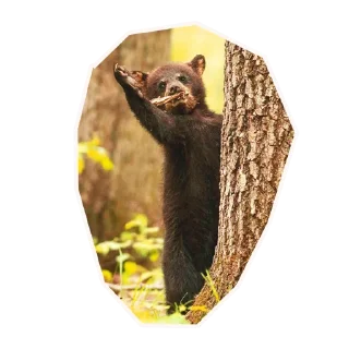 👋