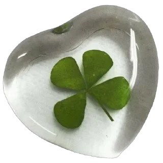 🍀