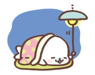 💤