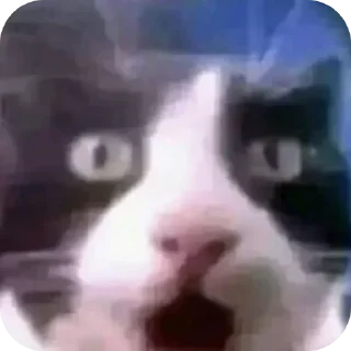 😱
