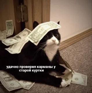 💰