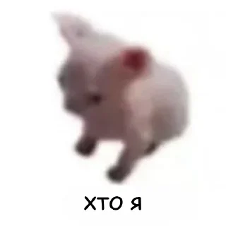 ❓