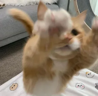 🤗