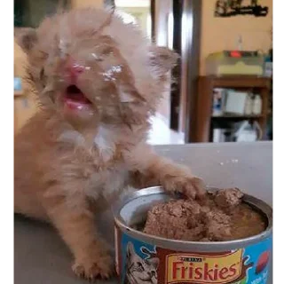 🥴