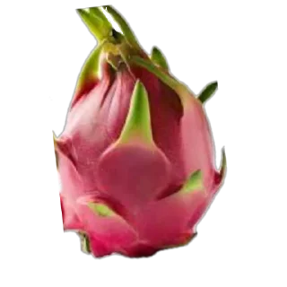 🌸