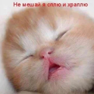 🥱