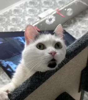 🤯